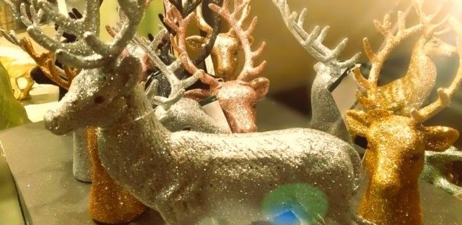 glitzernder Hirsch - Text: 2023