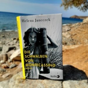Foto des Buches vor Meer